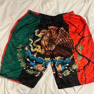 Multicolor Graphic Men's Shorts